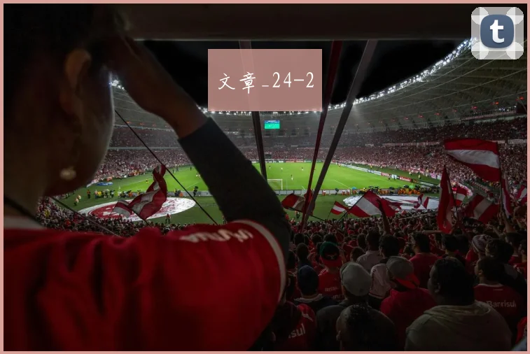 文章_24