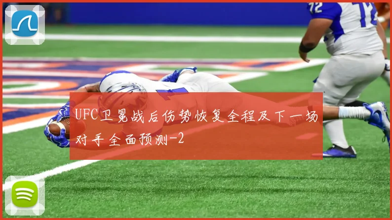 UFC卫冕战后伤势恢复全程及下一场对手全面预测