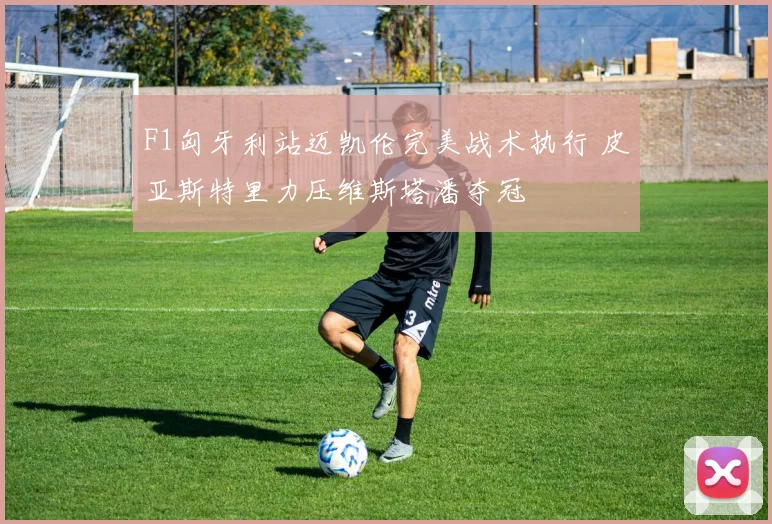 F1匈牙利站迈凯伦完美战术执行 皮亚斯特里力压维斯塔潘夺冠